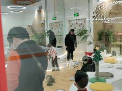 -COLOR PETS 撸猫馆·购猫·猫咖(长风大悦城店)