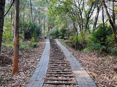 -青龙山国家森林公园