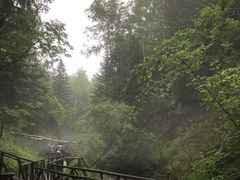 -峡谷浮石林景区