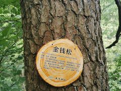 -东天目山风景区