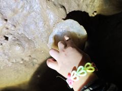-地心探险极地