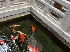 -鲤院·新中式美学·庭院餐厅(夫子庙店)