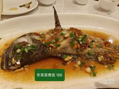 -金鮀岛潮州酒家