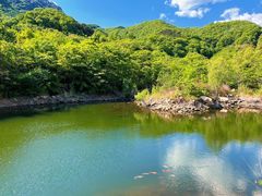 -梨木台悦来客农家院
