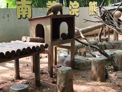 -深圳野生动物园