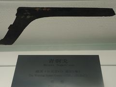 -衢州市博物馆