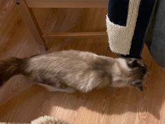 -白兔子密室(长寿路店)