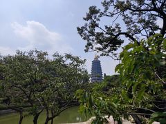 -红梅公园