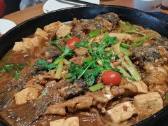 -老板恋上鱼(恒隆广场店)