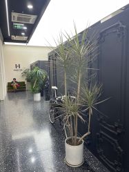 -Hair Co.一间沙龙