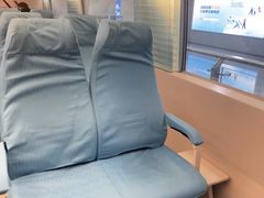 -龙阳路磁悬浮列车总站-停车场