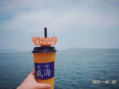 -悦海公园