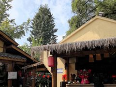 -土灶人家柴火鸡(彭州店)