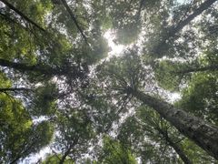 -山王坪喀斯特国家生态公园