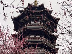 -洋湖国家湿地公园
