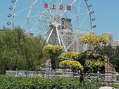 -天津水上公园