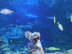 -太平洋海底世界