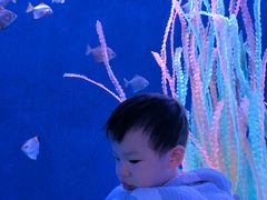 -沈阳海洋探索中心