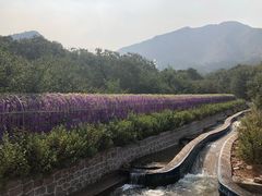 -山叶口景区