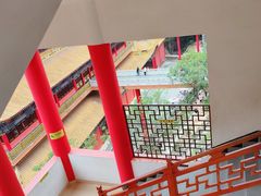 -东莞市大岭山森林公园