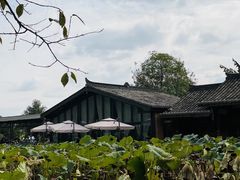 -莫催咖啡