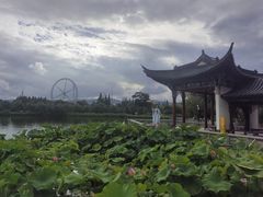 -庾园