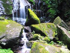 -藏龙百瀑风景区