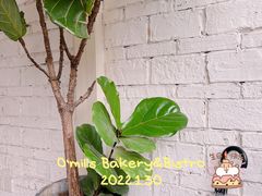 -O'mills Sourdough Bakery&Bistro(永嘉路店)