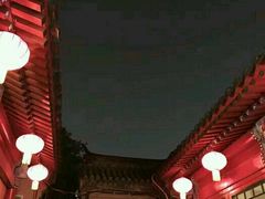 -百好乐宠物友好餐厅(朝外大街店)