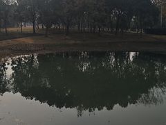 -长广溪湿地公园