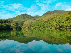-雁南飞茶田景区