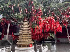-国恩寺