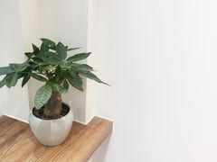 -Onirii Coffee(长乐路店)
