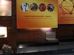 -遂昌金矿国家矿山公园