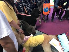 -东浩兰生上海世博展览馆