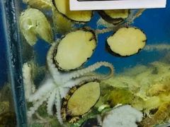 android_upload_pic-海滨假日渔家海鲜