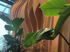 -Bco豆库(星耀天地店)