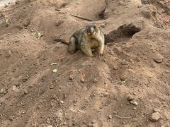 -鄂尔多斯野生动物园