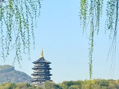 -杭州西湖柳莺里酒店·闻莺厅