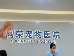 -阿荣24H宠物医院·综合型转诊中心·CT·核磁影像中心