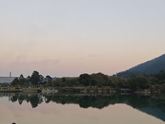 -水濂山森林公园