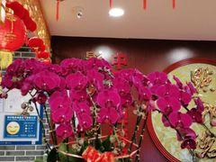 -点都德(华强南店)