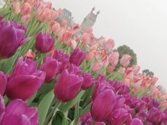 -花博汇(知音花月夜)
