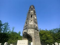 -上海佘山国家森林公园天马山园