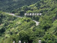 -阳台山森林公园