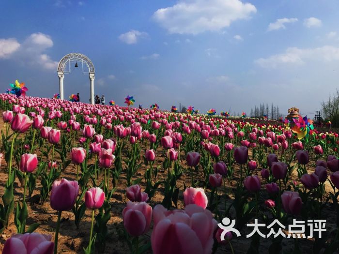 云澜湾·四季花海乐园-图片-嘉善县周边游-大众点评网