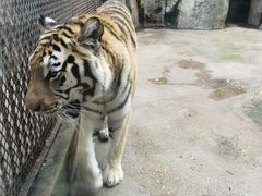-南昌动物园