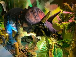 -恐龙探索乐园(磁器口店)