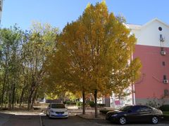 -严记小天府酸菜鱼(西四路店)