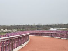 -江苏三台山国家森林公园